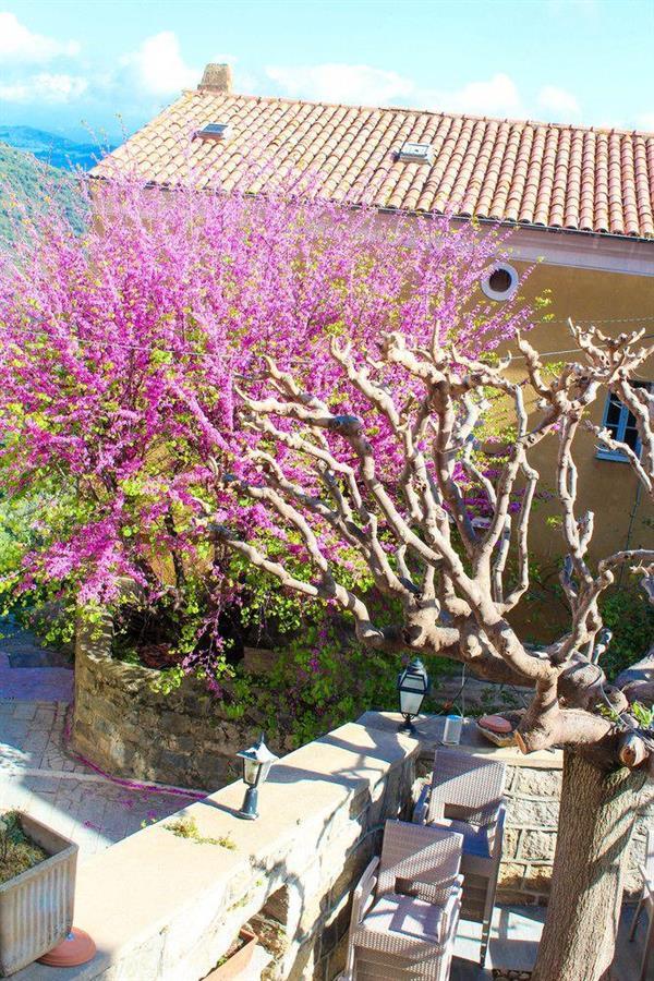 Hotel Restaurant U Santa Maria Olmeto  Exterior foto